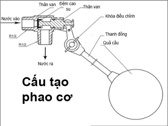 cau-tao-van-phao-lap-ren