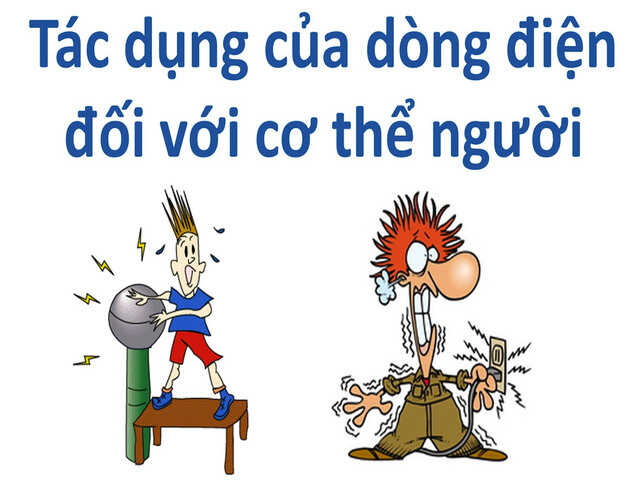 tac-dung-sinh-ly-dong-dien